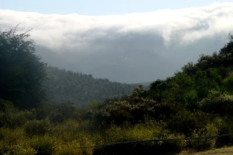 Una capa de nubes blancas cubre la parte alta de los cerros y baja por una quebrada sobre el matorral