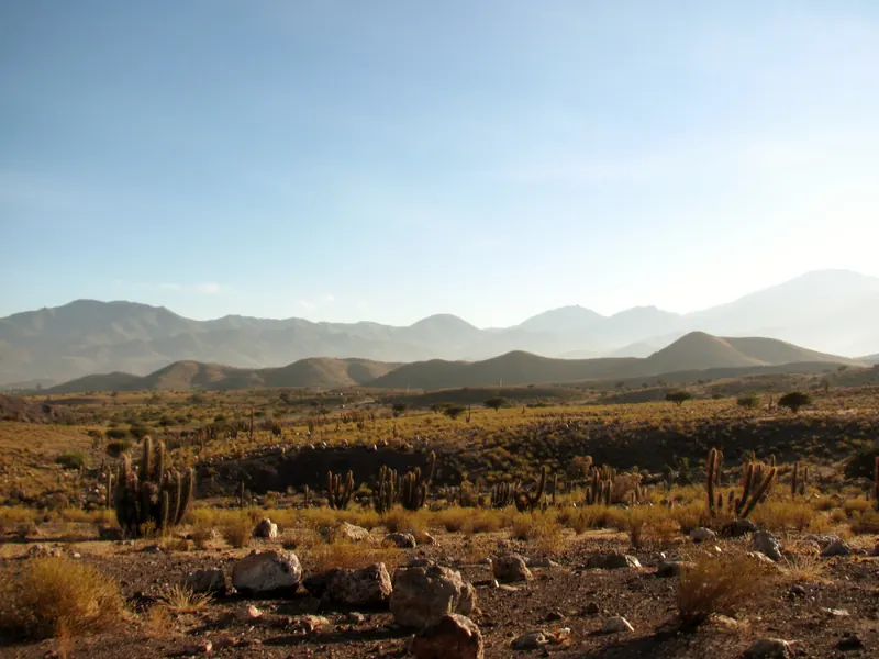 Piedras, pasto seco dorado, cactus y espinos en primer plano, con cordones de cerros en capas hacia la cordillera
