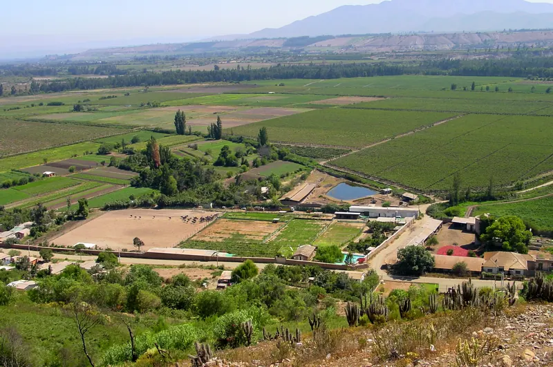 Viñedos, paños de hortalizas, álamos y un tranque de agua en el fondo plano del valle, con terrazas y cerros detrás