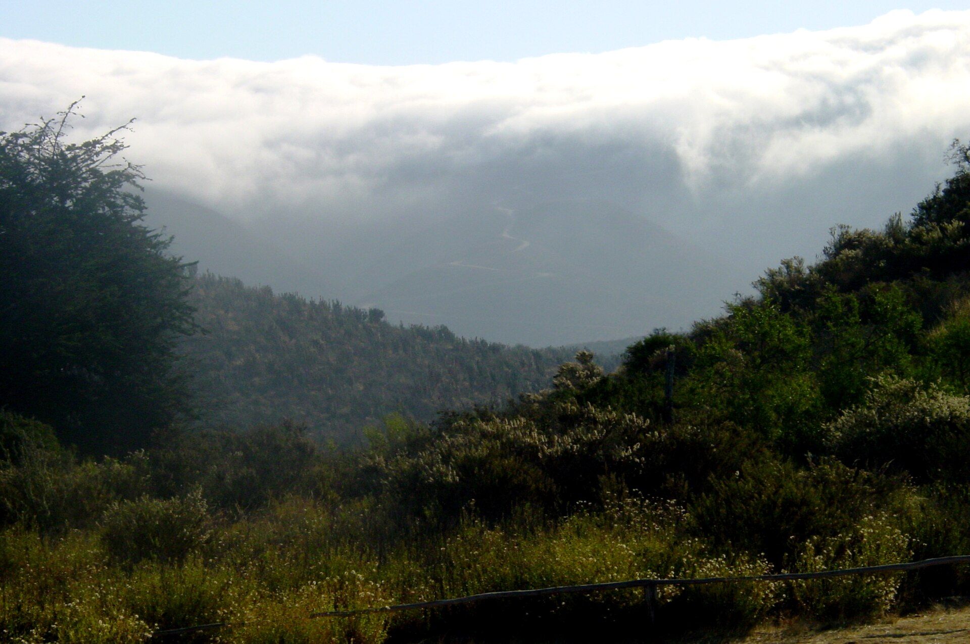 La camanchaca cubre los cerros de Fray Jorge