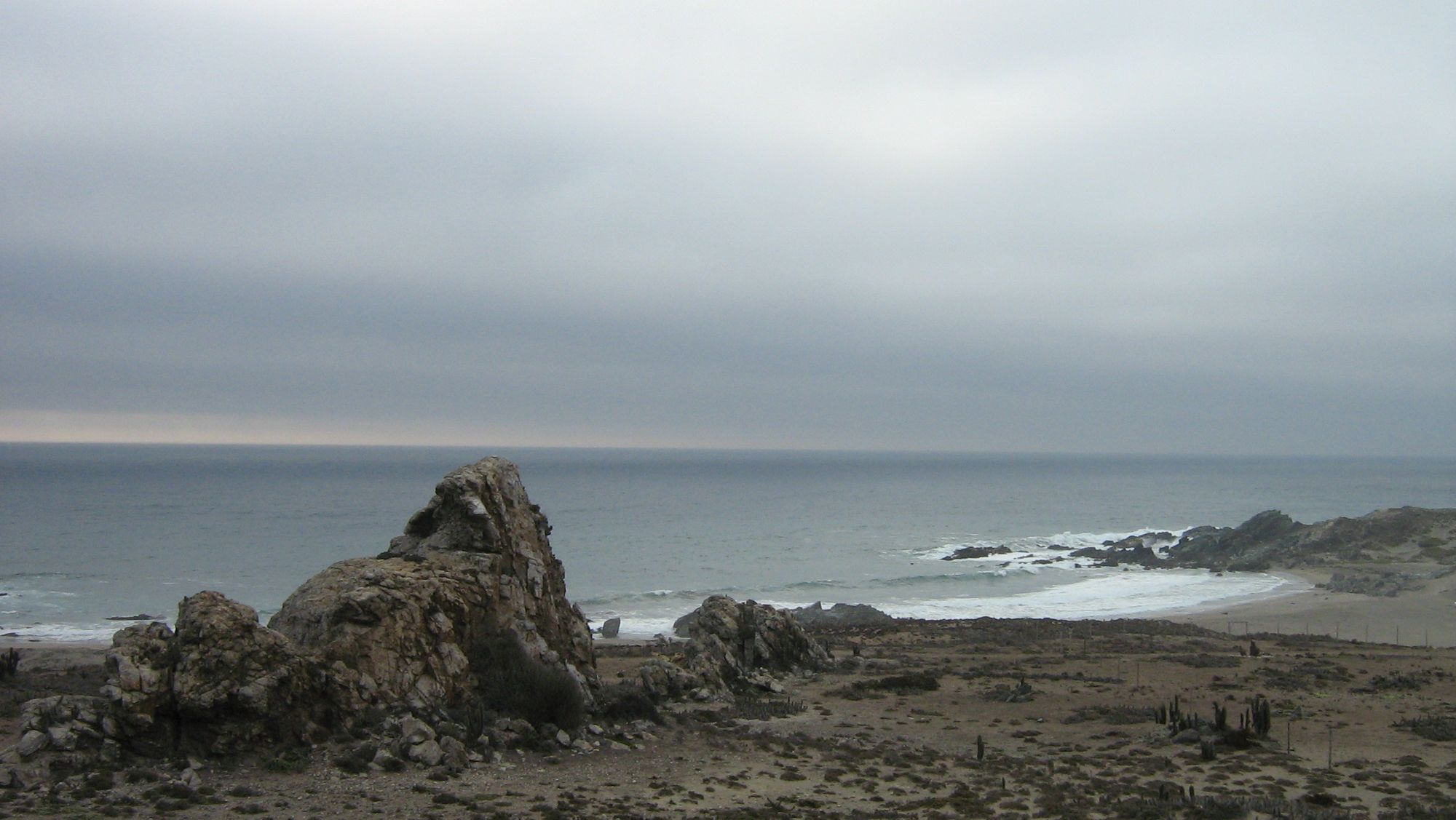 La Cebada. Roquerío y terraza costera del litoral de Ovalle.