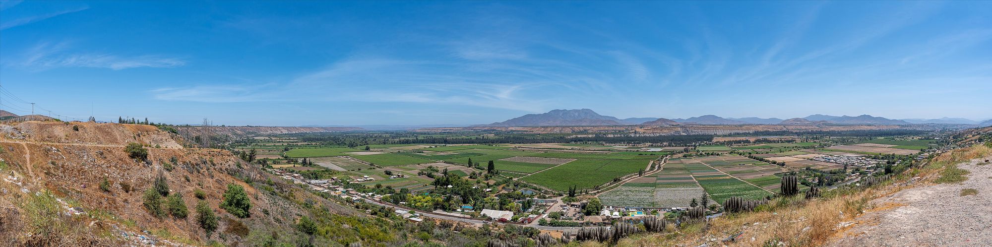 Afueras de Ovalle, diciembre de 2022. Fondo de valle regado y cerros secos.