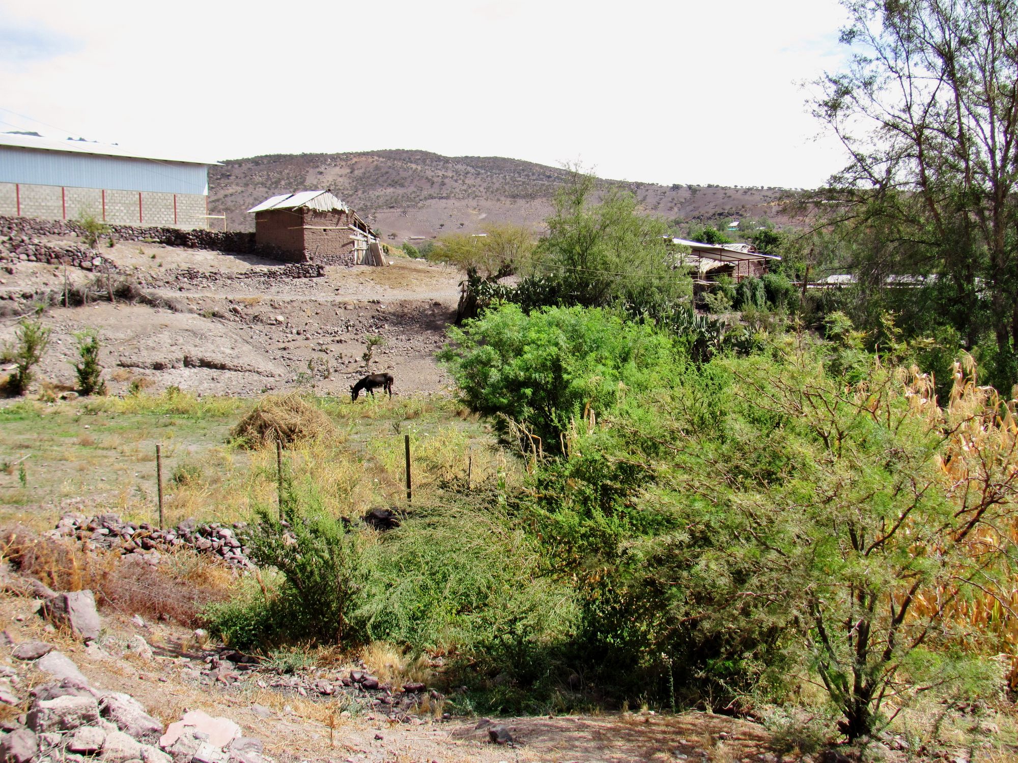 Pircas y rancho de adobe en una localidad rural de Combarbalá.